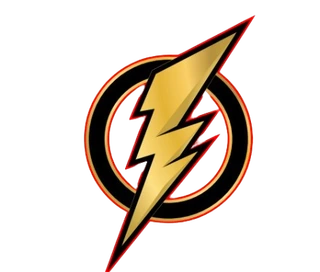 Flash Domicilios