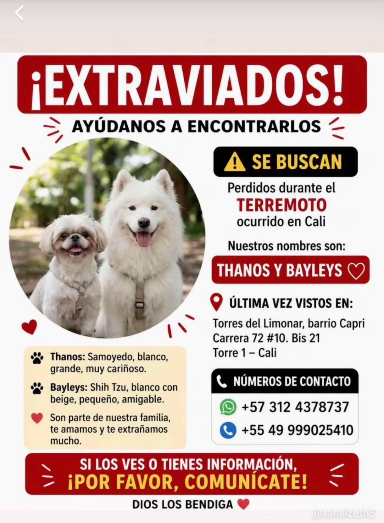 ¡EXTRAVIADOS!
AYÚDANOS A ENCONTRARLOS
Thanos: Samoyedo, blanco, grande, muy cariñoso. Bayleys: Shih Tzu, blanco con beige, pequeño, amigable. Son parte de nuestra familia, te amamos y te extrañamos mucho.
A SE BUSCAN
Perdidos durante el TERREMOTO
ocurrido en Cali
Nuestros nombres son:
THANOS Y BAYLEYS♡
ÚLTIMA VEZ VISTOS EN:
Torres del Limonar, barrio Capri Carrera 72 #10. Bis 21 Torre 1 - Cali
NÚMEROS DE CONTACTO
+57 312 4378737
+55 49 999025410
SI LOS VES O TIENES INFORMACIÓN, ¡POR FAVOR, COMUNICATE!
DIOS LOS BENDIGA