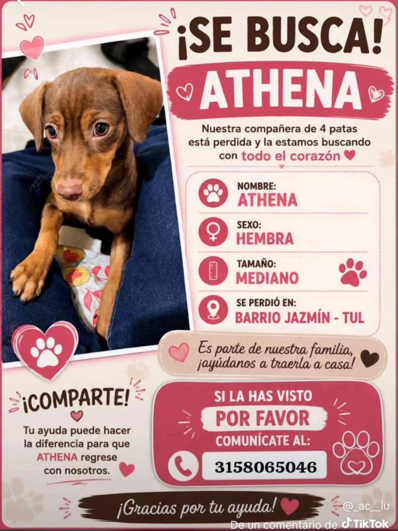 Athena, hembrea, mediana.