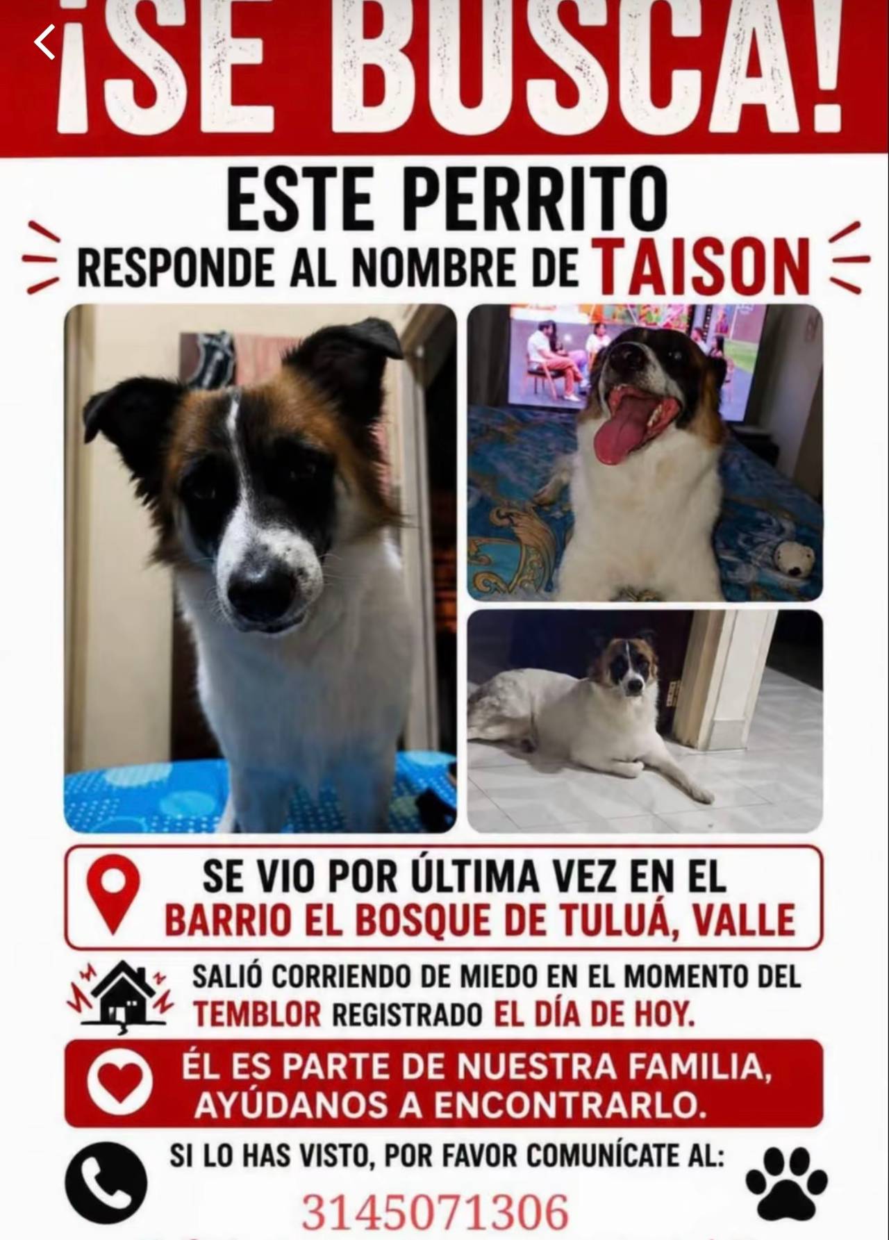 Taison, salio corriendo del miedo en medio del temblor.
