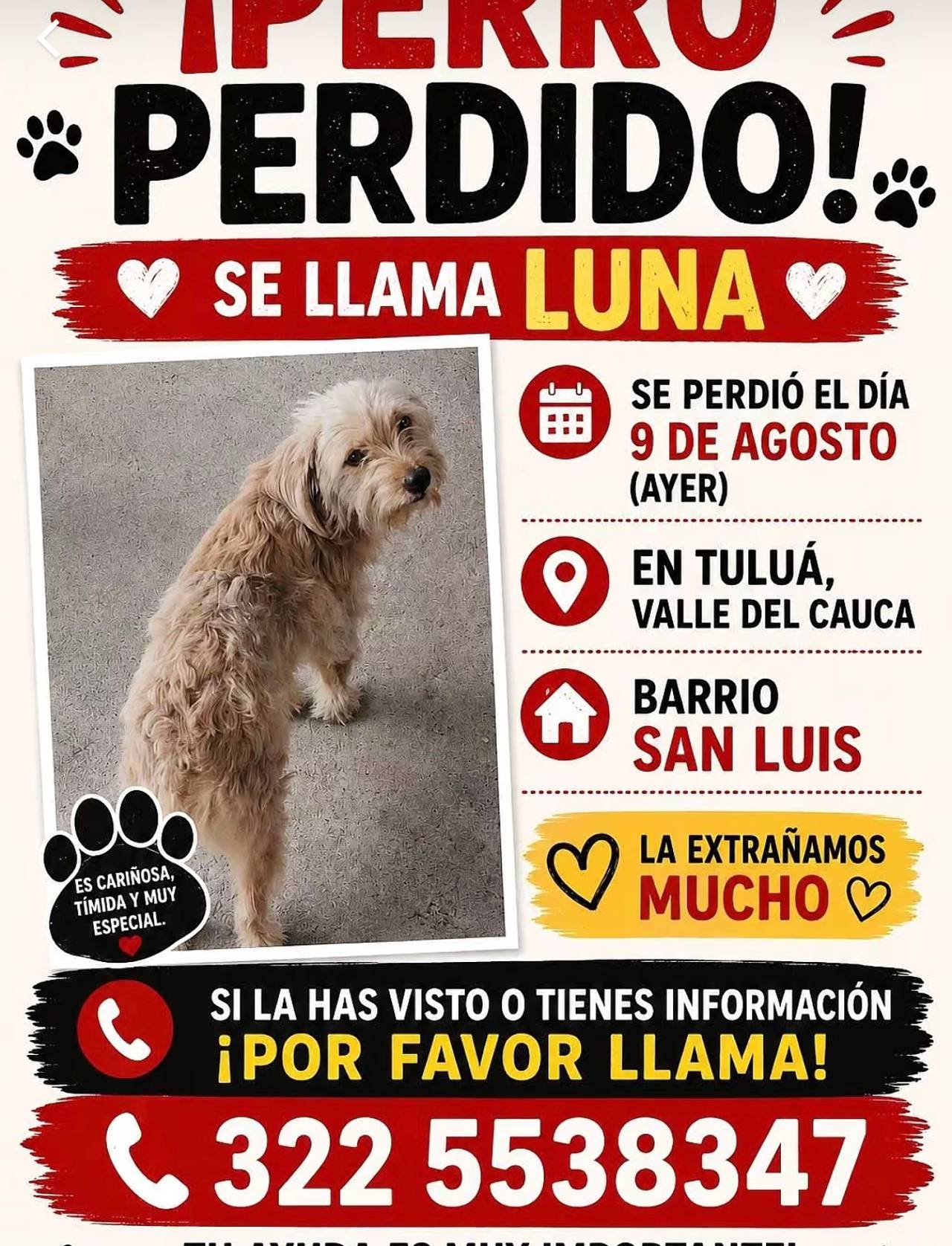 perrita, llamada Luna