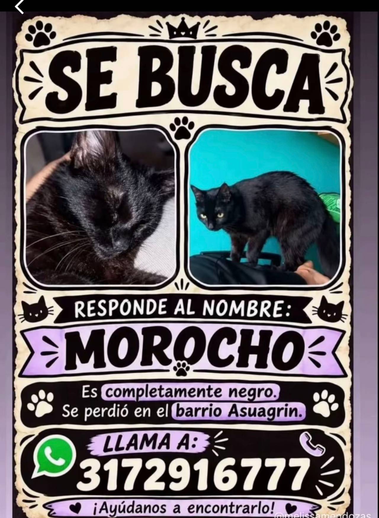 Morocho, completamente negro