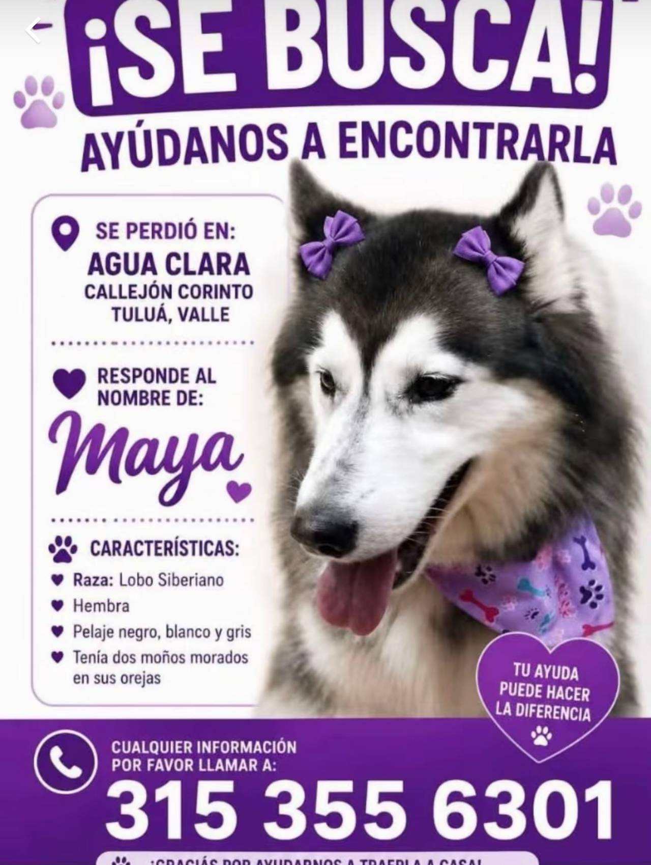 Maya