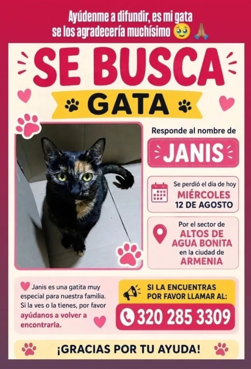 Una gatica