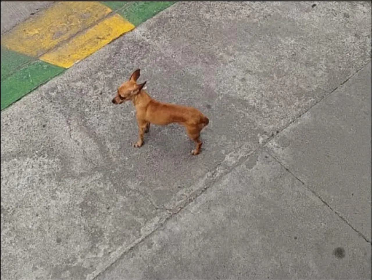 Ayuda a compartir