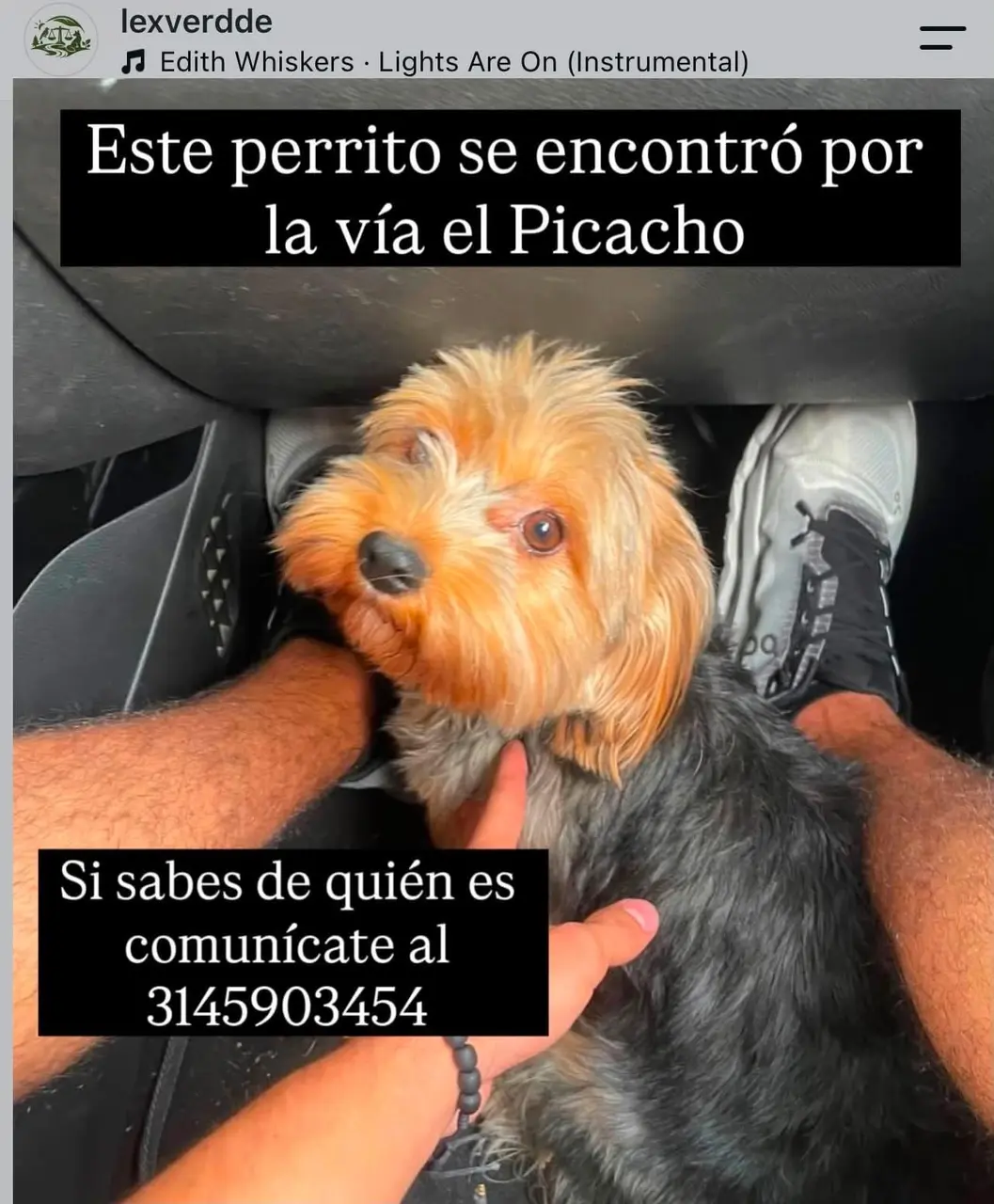 Se encontró en toda la vía