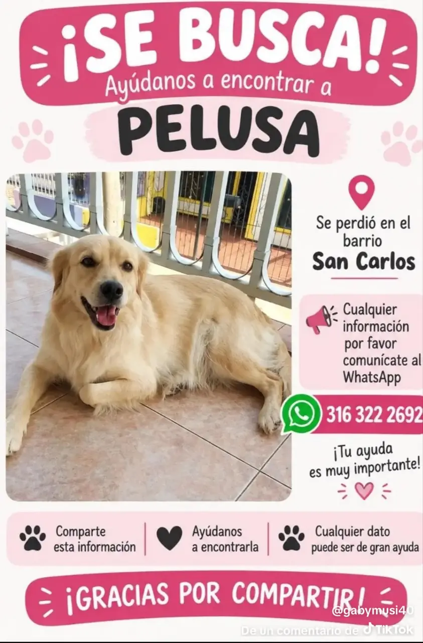 Ayúdanos a encontrar a pelusa